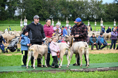 Herger's Ziegenzucht mit den jüngsten Helfern, hier im Schöneuter mit Reh und Bonnie.