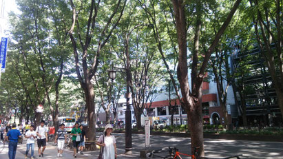 仙台市 定禅寺通り