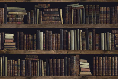 OUTLET BOOKS STORE liber