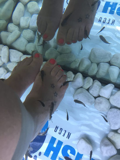 Fishspa Piran