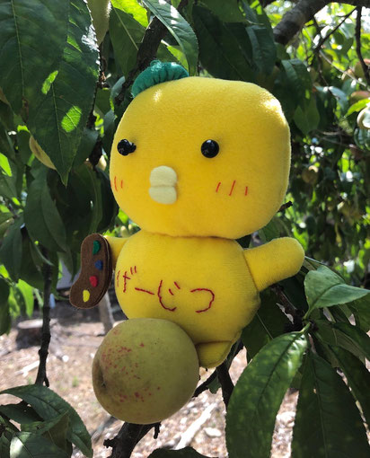 ヤマモモに跨るげーじゅつまるくん