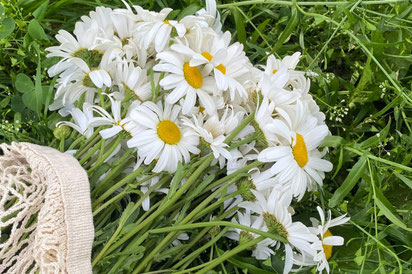 水色のペーパーバッグからのぞくチューリップの花束。