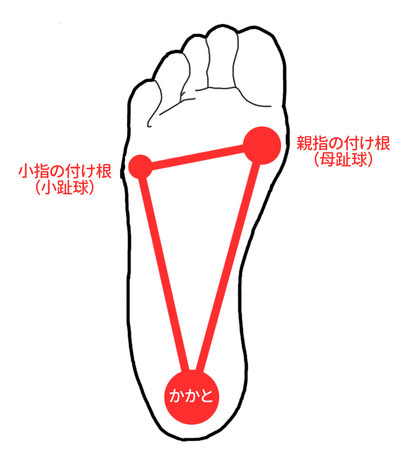 「かかと」約50%、「小指の付け根」約15%、「親指の付け根」約35%の荷重が理想