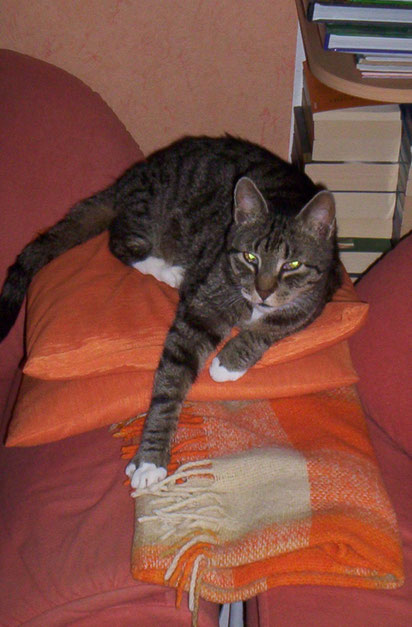 Was willst denn du von mir - ich weiß auch so, dass ich schön bin! Leider ist unser Atze am Samstag den 18.September 2010 gestorben.Ich bin sehr traurig.