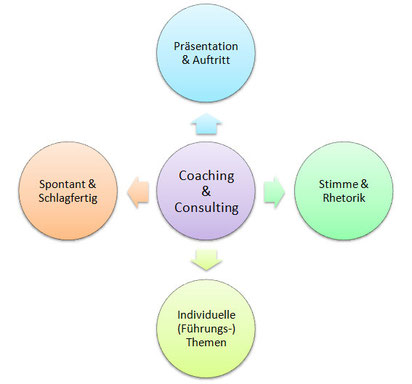 Bild: Module Coaching Consulting kombiniert mit Training Stimme Präsentation und Spontanität Karin Neidhart