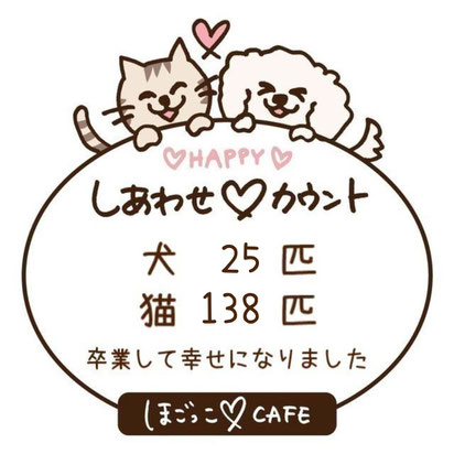 保護犬猫の譲渡のカウント数のイラスト