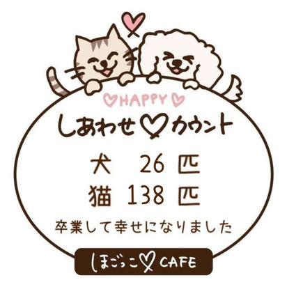 保護犬猫の譲渡のカウント数のイラスト