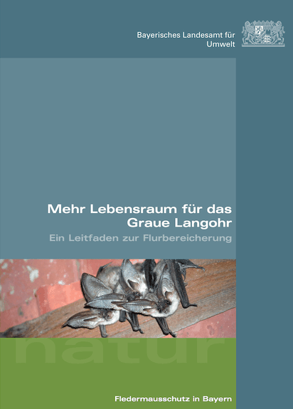 Bucheinband in Grau und Grün mit dem Titel "Mehr Lebensraum für das Graue Langohr". Er zeigt das Logo des Bayerischen Landesamtes für Umwelt und ein Foto von Fledermäusen.
