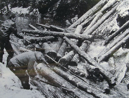 Kurzholz-Flösserei (hier Foto aus der Sächsischen Schweiz, Foto: Thomas)