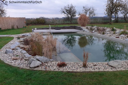 von SchwimmteichFürDich gebauter Teich von der Planung bis zur Bepflanzung, Teich mit 3 x 6 m Badezone, Holzquerverbau