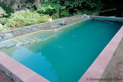 von SchwimmteichFürDich gebauter Teich von der Planung bis zur Bepflanzung, Teich mit 3 x 6 m Badezone, Holzquerverbau