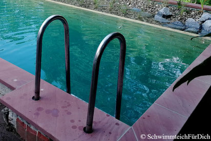 von SchwimmteichFürDich gebauter Teich von der Planung bis zur Bepflanzung, Teich mit 3 x 6 m Badezone, Holzquerverbau