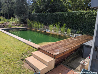 Komplettleistung von der Planung bis zur Bepflanzung von SchwimmteichFürDich, Privatschwimmteich mit Gartengestaltung, Holzverbau, über 10 m Schwimmlänge