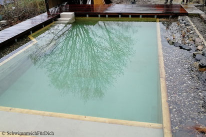 von SchwimmteichFürDich gebauter Teich von der Planung bis zur Bepflanzung, Teich mit 3 x 6 m Badezone, Holzquerverbau