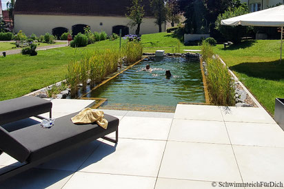 von SchwimmteichFürDich gebauter Teich von der Planung bis zur Bepflanzung, Teich mit 3 x 6 m Badezone, Holzquerverbau