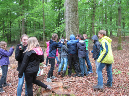 Waldpädagogik: Lernen in der Natur.