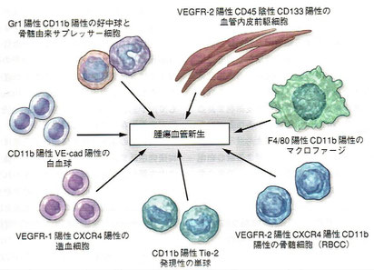 「デヴィータ がんの分子生物学」より