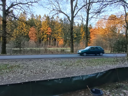 Blick vom aufgestellten Amphibien-Zaun im Vordergrund über eine Straße mit fahrendem Auto zu einem baumbestandenen Teichgelände