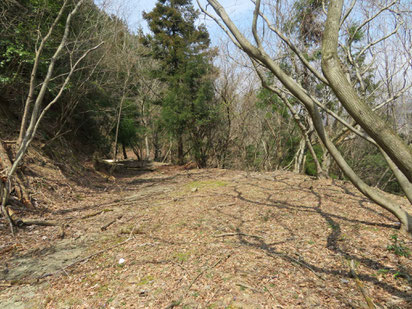 裸地化が進むかつてのポイント。