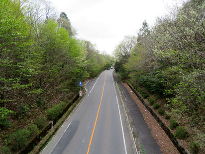 尾張パークウェイの跨道橋から。