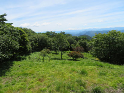 頂上の向こう側に広がる草地。