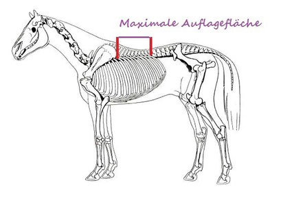 Kammerweite Am Pferd Messen