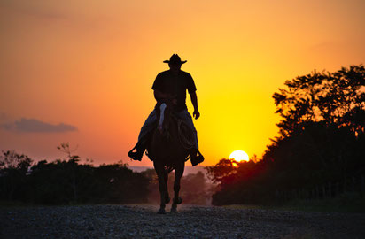 Johanna Wienzek, Jin Shin Jyutsu, Strömen, Clint Eastwood, Reiten, Kurse, Zoom