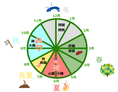 太陽暦と五行と五臓を重ねてみました。長夏は晩夏の旧暦6月＝太陽暦の7月なのではないか？という予想に。