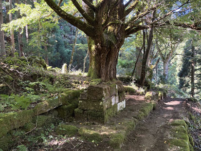 先祖墓2基　整理積み