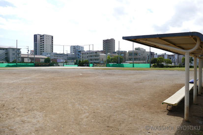 会場となるグラウンド