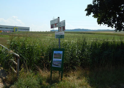 August 2018: Noch gibt es ein breites Stück Grünland zwischen TAXIS und dem Fürtlesbach. Ab und zu weiden Schafe darauf.