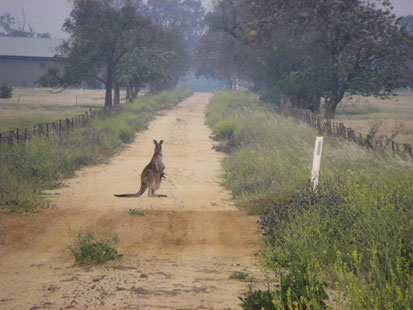 Down outback roads.