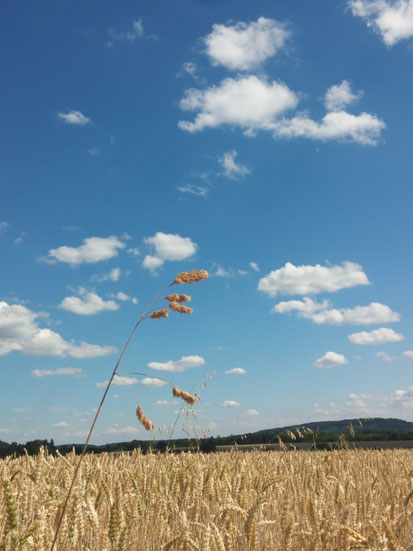 wunderbarer Spätsommer