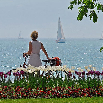Insel Lindau Benefits Mitarbeiter YachtHotel Helvetia Bodensee