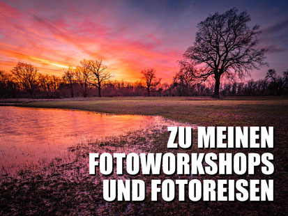 Link zu meinen Fotoreisen und Fotoworkshop