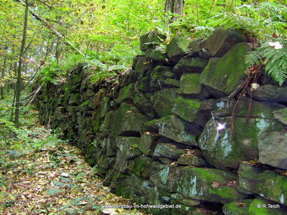 Die Scheuchenmauer auf dem Döringsberg