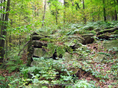 Die Scheuchenmauer auf dem Döringsberg