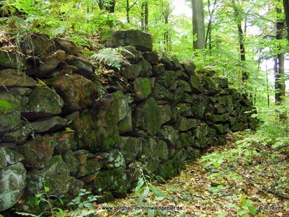 Die Scheuchenmauer auf dem Döringsberg