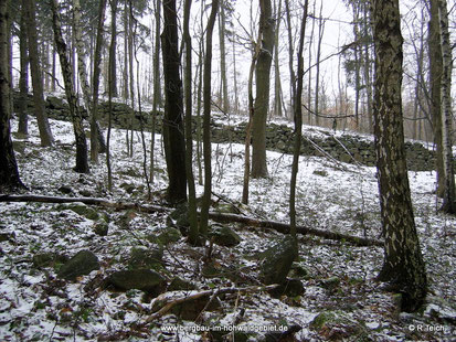 Die Scheuchenmauer auf dem Döringsberg