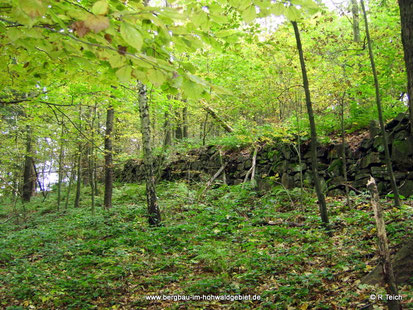 Die Scheuchenmauer auf dem Döringsberg