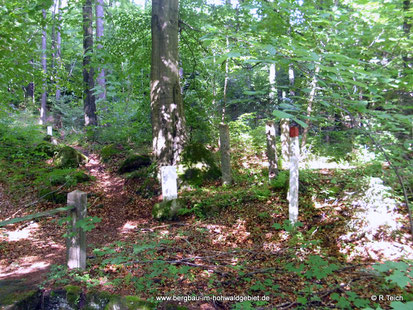 Brücke und Grenzstein "5", dahinter Buche mit Granitblock