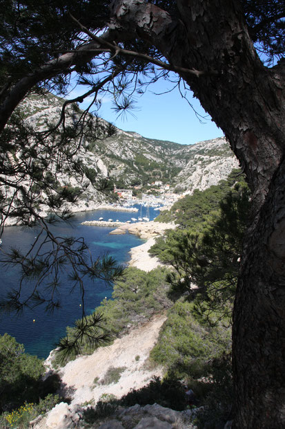 Bild: Wanderung in der Calanque de Morgiou