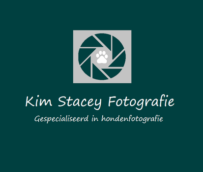 Het oude logo van Kim Stacey fotografie (juni 2017)