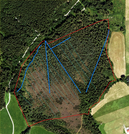 Das Grabensystem auf dem LBV-Grundstück (rote Grundstücksgrenze). Gräben zum Teil aus der Zwischenkriegszeit (d’blau) und Schlitzgräben mit Drainagerohren (h’blau) nach eigene Erhebungen. Luftbild: Bayerische Vermessungsverwaltung, Lizenz: CC BY 4.0 (*)