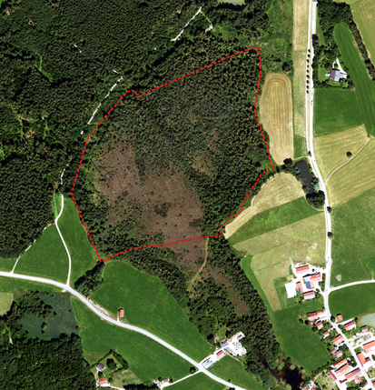 Das Ebenbergfilz am nordwestlichen Ortsrand von Schöneck, Gem. Dietramszell, mit dem LBV-Grundstück (rote Grundstücksgrenze). Luftbild: Bayerische Vermessungsverwaltung, Lizenz: CC BY 4.0 (*)