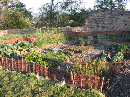 Der Garten im ersten Jahr (Foto: J. Oppermann)