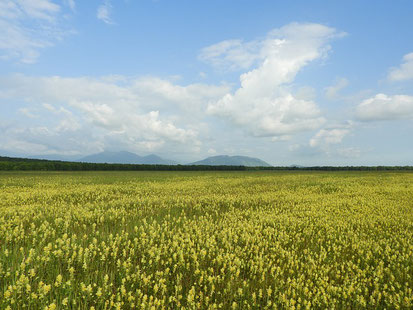 Abbildung: Open Space