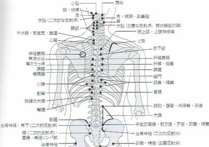 「内臓　治療　反射点」の画像検索結果