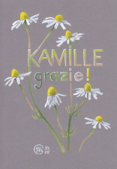 Gouachebild "Kamille grazie!": Kamillepflanze mit Schriftzug integriert