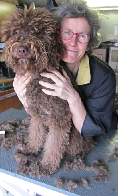 trimsalon jirnsum  grou leeuwarden sneek heerenveen hond knippen plukken wassen trimmen kapper judith verkerk vacht vlo klit ontklitten scheren teek nagels knippen uitdunnen kammen uitwollen terrier maltezer boomer waterhond shih tzu terrier spaniel puppy